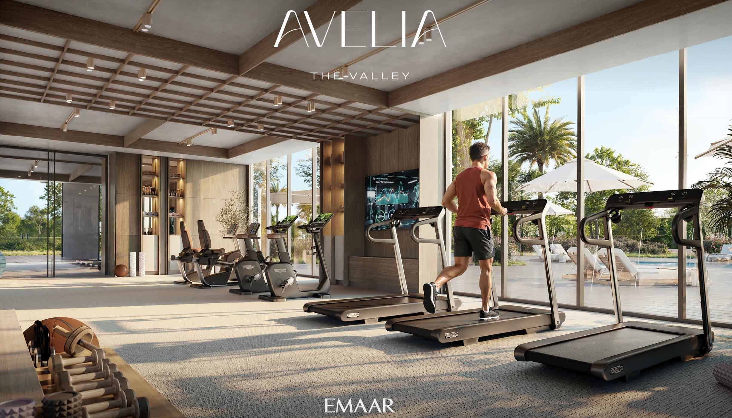 Avelia at The Valley